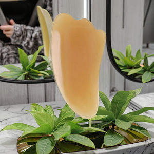 แผ่นกระดานกัวซาเรซินหนาสำหรับนวดหน้า/คอ/ร่างกาย (บ้านเชิงพาณิชย์) - Product Image 3