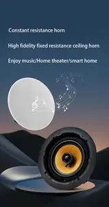 Klass Speaker Central Control Parts Music Loud- Ceiling Speaker Fixed Resistance 20w Plastic Speaker 15 Inch Amazon Alexa