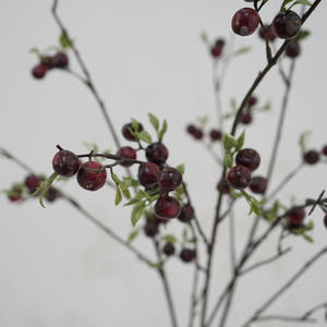 RK064 Baies artificielles de haute qualité de style nordique, vente <span class=keywords><strong>en</strong></span> gros directe d'usine pour la décoration intérieure - Product Image 3