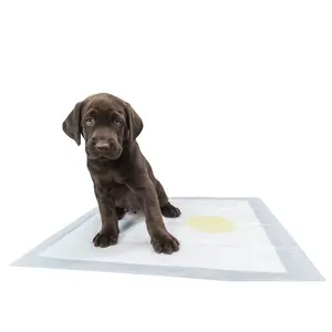 Almofada para treinamento de filhotes de cachorro, almofada para urinar para animais de estimação com logotipo do cliente, 60*60 cm