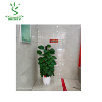 High-End Tanaman Plastik Luar Ruangan Besar Nordic Penanam Ramah Lingkungan Pot Buatan Pot Taman Besar Cetakan