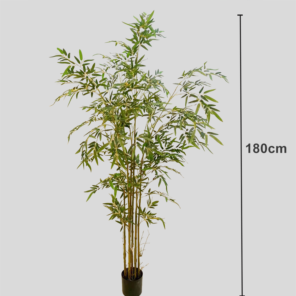 golden-180cm