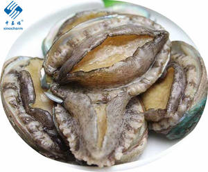 Fournitures pour étagères de haute qualité, sans coquilles d'abalone - Product Image 2