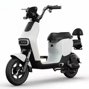 Made in China Wholesale The factory Limited Time Offer High Performance Import 48V City Electric Bike