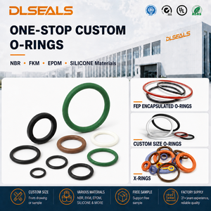 O-Ring Incapsulato in FEP PTFE con Anello in FKM, Resistente agli Agenti Chimici, per Valvole di Pompe, OEM ODM, Misure Personalizzate, Fornitura di Fabbrica - Product Image 6