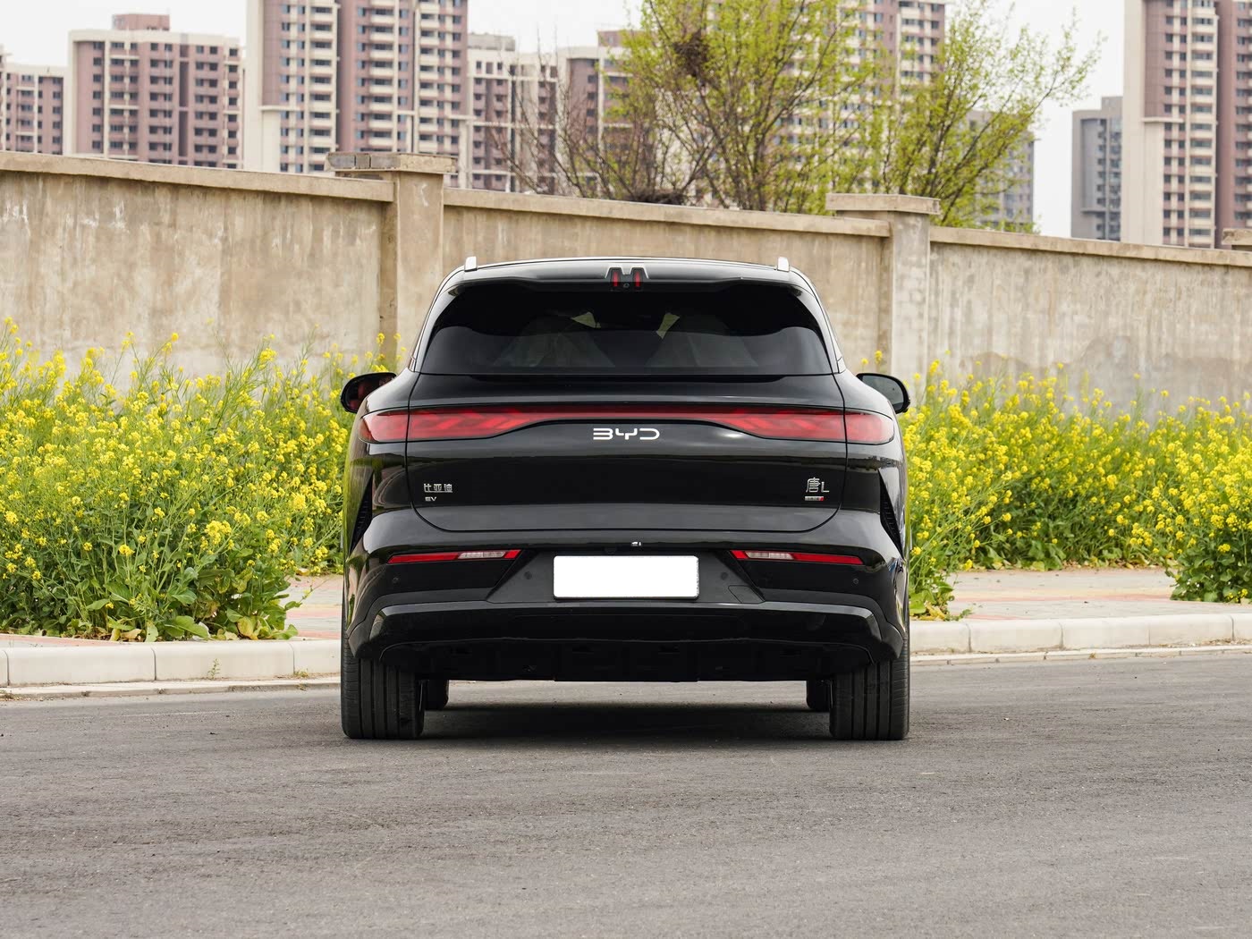 byd tang l ev 2025 flagship