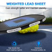Bande de plomb lestée en PP de 3g pour pagaie de pickleball et club de golf, argent/noir, usage sportif extérieur, 50x10mm, toutes saisons