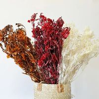Selamat Datang Bunga Iris Alami Kering dengan Pinggiran, Bunga Pansy Kering Grosir Satu Atap, Bunga Kustom untuk Dekorasi Acara Tahun Baru