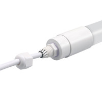 Tubes LED T8 fluorescents à changement de couleur, étanches IP65, pour extérieur, vente en gros, 30 cm