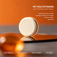 Comprimés multivitaminés pour animaux de compagnie, complément nutritionnel quotidien, soutien à la santé immunitaire et à la vitalité pour chiens et chats