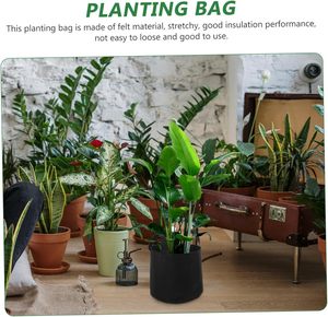 Bolsas de Cultivo de Tela No Tejida para Jardinería y Vegetales, de 1, 3, 5, 7, 10, 20, 30, 50, 100 y 200 Galones, Personalizadas, Baratas y al por Mayor - Product Image 3