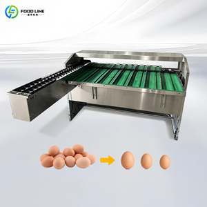 Macchina per il lavaggio, selezione e classificazione delle uova con imballaggio automatico, selezionatrice di uova di gallina per peso e dimensione, classificatore di dimensioni su <span class=keywords><strong>piccola</strong></span> scala. - Product Image 2