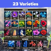 Mélange de graines de fleurs sauvages pour jardin naturel, en vrac, 23 variétés, graines pures annuelles et vivaces pour la plantation d'automne, sans engrais