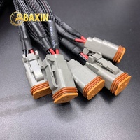 DT06-6S-arnés de cableado automotriz de DT06-2S, arnés de cableado de color colorido o OEM