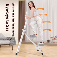 Steppeur silencieux multifonctionnel pour entraînement complet du corps, pliable, pour exercices cardiovasculaires