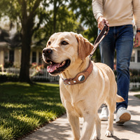 Nouveau Collier pour Chien en Cuir PU Personnalisé de Luxe Happy, Doublure Tissée Douce, Traceur GPS pour Animaux, Matériel Robuste et Réglable pour la Promenade