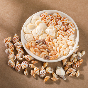 JD GEMS Wholesale High Quality Natural Shell Jewelry <strong>Accessories</strong> for DIY Fashion Necklace and Bracelets Jewelry - Product Image 5