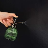 Flacons pulvérisateurs d'eau à fleurs Mini brumisateurs de plantes vintage Pot d'arrosage d'atomiseur de plantes décoratives avec pompe