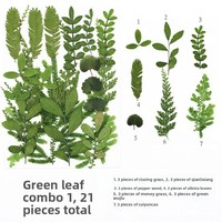 Bunga Kering Asli Daun Bunga Kering untuk Pembuatan Perhiasan Resin Kerajinan Scrapbooking DIY Pembuatan Sabun Lilin Dekorasi Kuku