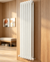 Radiateur de chauffage à eau chaude en acier SL50, radiateur vertical/horizontal de style design pour chauffage central de maison moderne