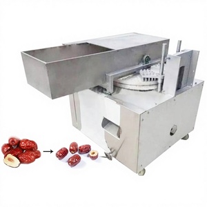 Macchina Spremitrice di Datteri e Giuggiole Motorizzata in Acciaio Inox 304, 380V 1.5kW - Product Image 1