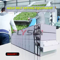 Machine de séchage de fleurs de chanvre CBD à moteur automatique et pompe, avec bande transporteuse en maille de titane multicouche en acier inoxydable continu, pour la transformation alimentaire