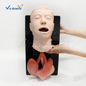 Modèle d'intubation de la trachée humaine avancé Vic Science Medical Science Nursing Manikin, modèle d'éducation VIC-407A, écologique - Product Image 2