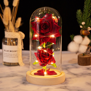 <span class=keywords><strong>Rose</strong></span> artificielle <span class=keywords><strong>de</strong></span> luxe sous cloche en verre, <span class=keywords><strong>rose</strong></span> éternelle, fleur séchée sous cloche en verre, cadeaux pour la fête des mères et la Saint-Valentin 2026 - Product Image 3