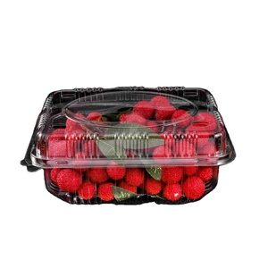 PET Disposable Plastic Vegetable Container with Lid Food Safe Blister Transparent Hard Plastic Clamshell Packaging Box