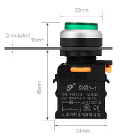 SKB0-PL10T/SKB0-PL10TD 22mm 12V 24V 110V 127V 220V 380V Bouton poussoir à maintien convexe à haute capacité, éclairé en option