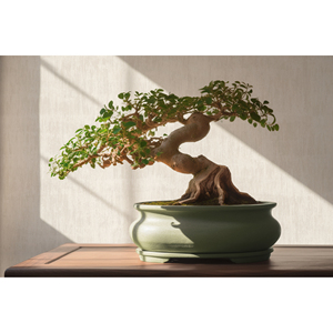 395038 Wallpaper <b>Rolls</b> - Product Image 6