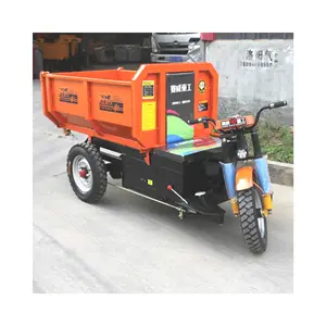 High Speed China E-trikes 3wheel Adult Electric Cargo Tricycle Motorcycle