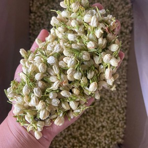 Ventes d'usine Fleurs de <span class=keywords><strong>jasmin</strong></span> Thé aux fleurs de plantes détox naturel Thé aux fleurs de <span class=keywords><strong>jasmin</strong></span> séchées - Product Image 4
