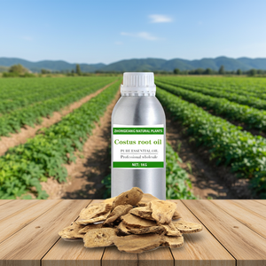<span class=keywords><strong>Huile</strong></span> <span class=keywords><strong>Essentielle</strong></span> Pure et Naturelle à 100% de Racine de Costus d'Inde en Gros - Fournisseur d'Huiles Essentielles en Vrac - Product Image 2