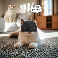 Masque de chauve-souris moderne Petop pour chat, costume d'Halloween, déguisement de super-héros, robes en nylon pour chats et chatons, décoration de fête, noir, photo