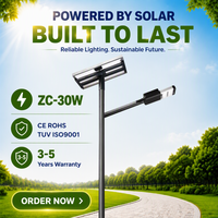 Lampe solaire de rue LED étanche IP66 30W en alliage d'aluminium avec batterie LiFePO4 pour extérieur et télécommande
