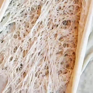 Fournisseur <span class=keywords><strong>de</strong></span> poudre <span class=keywords><strong>de</strong></span> <span class=keywords><strong>levure</strong></span> <span class=keywords><strong>de</strong></span> pâte à pain sèche instantanée à faible teneur en sucre et en sucre super tolérant <span class=keywords><strong>de</strong></span> <span class=keywords><strong>boulanger</strong></span> personnalisé OEM - Product Image 6