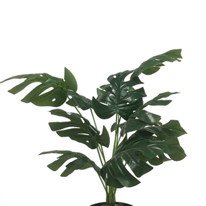 <span class=keywords><strong>บอน</strong></span>ไซประดิษฐ์พลาสติกพื้นที่ขนาด<span class=keywords><strong>เล็ก</strong></span>สำหรับตกแต่งผนังบ้าน<span class=keywords><strong>สี</strong></span>เขียวเหมือนต้นไม้ในร่ม - Product Image 2