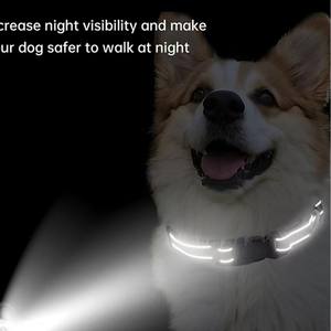 Verstelbare Kleine Middelgrote Kraag Bijtvastheid Nylon Levering Lichtgevende Kraag Solide Groothandel Huisdier Benodigdheden Voor Honden - Product Image 4