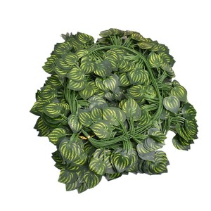 Guirlandes décoratives en lierre artificiel de 3 m de long, verdure artificielle pour décoration murale de la maison - Product Image 4