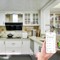 Prise intelligente Wi-Fi OEM ODM Matter EU 16A avec suivi de consommation, programmation, contrôle local, compatible Alexa et Google Home