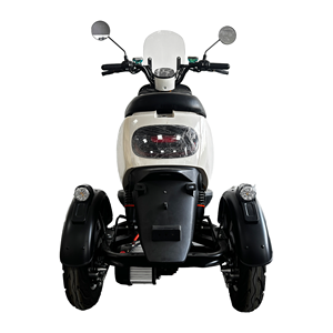 Triciclo Elettrico per Adulti 1000W 60V, Scooter <span class=keywords><strong>a</strong></span> <span class=keywords><strong>Tre</strong></span> Ruote con Carrozzeria Aperta per 2 Passeggeri - Product Image 3