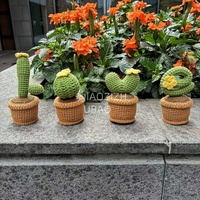 Adorable cactus tressé à la main, quatre frères, cadeau personnalisé pour la Saint-Valentin, pour enfants et petites amies, produit de décoration