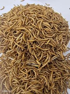 Großhandel Hochwertiges Katzen-, Vogel- und Fischfutter mit Getrockneten Gelben Mehlwürmern und Hohem Proteingehalt zur Ergänzung von Vitaminen - Product Image 2
