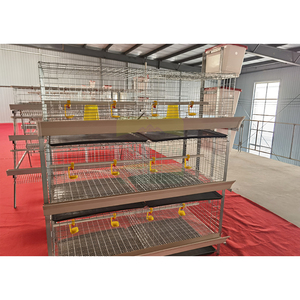 Cage à poulets de chair robuste GREAT FARM à 3 niveaux et 6 portes, galvanisée à froid, capacité 54-60 oiseaux, équipement commercial pour élevage avicole - Product Image 3
