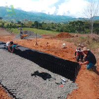 Geoceldas de Fábrica China: Rejilla de Grava HDPE para Estabilización de Suelos en Exteriores, Caminos y Muros de Contención con 5 Años de Garantía Linyuan