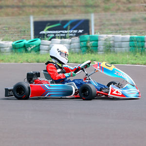 Parco giochi Zhuoyuan divertimento di fascia alta <span class=keywords><strong>Go</strong></span> <span class=keywords><strong>Kart</strong></span> benzina 225cc pedale <span class=keywords><strong>Go</strong></span> <span class=keywords><strong>Kart</strong></span> auto da corsa - Product Image 5