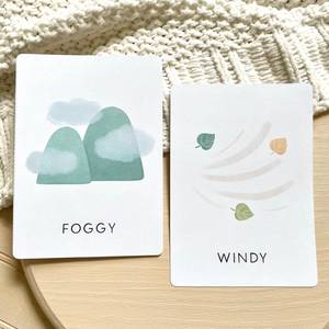 Bán hàng nóng tùy chỉnh trẻ em giáo dục màu sắc cảm xúc thời Tiết Tiếng Anh học tập THẺ FLASH - Product Image 1