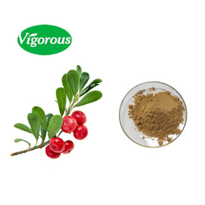 Échantillon d'approvisionnement d'usine fourni Hotsellers <span class=keywords><strong>Arctostaphylos</strong></span> uvaursi Bearberry Extrait - Product Image 2