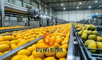 Ligne de production de jus de pomme de fruits de pulpe de mangue de presse-agrumes de haute qualité